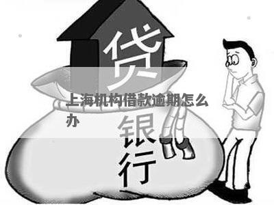 上海机构借款逾期怎么办